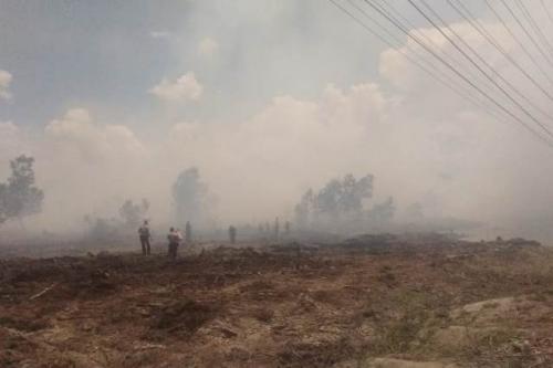 Diguga Dibakar, Sekitar Dua Hektar Lahan Konsesi PT Chevron di Dumai Terbakar