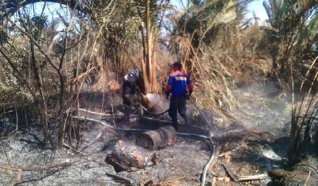 Kebakaran Kebun Sagu di Meranti Memasuki Hari Ke-11