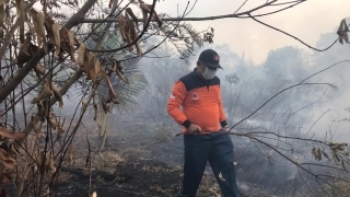 Lahan di Desa Sokop Terbakar, Sekda Meranti Turun ke Lokasi