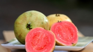 Ingin Sehat!! Ketahui Manfaat Kesehatan dari Jambu Biji........