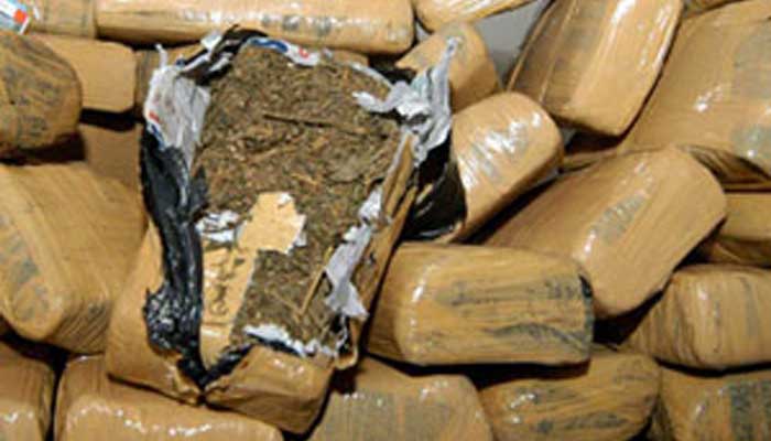 Sebanyak 40 Kg Ganja Kering Diamankan Tim Satrarkoba Polres Rohil