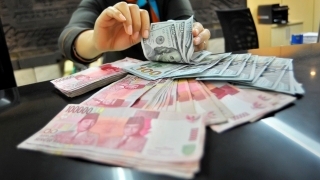 Usai Pemilu, Nilai Tukar Dolar AS Terus Bergerak Naik Turun Usai Pemilu, Nilai Tukar Dolar AS Terus Bergerak Naik Turun