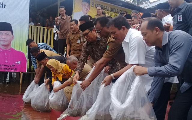 PEMKAB ROKAN HILIR BERUPAYA TINGKATKAN POTENSI PERIKANAN