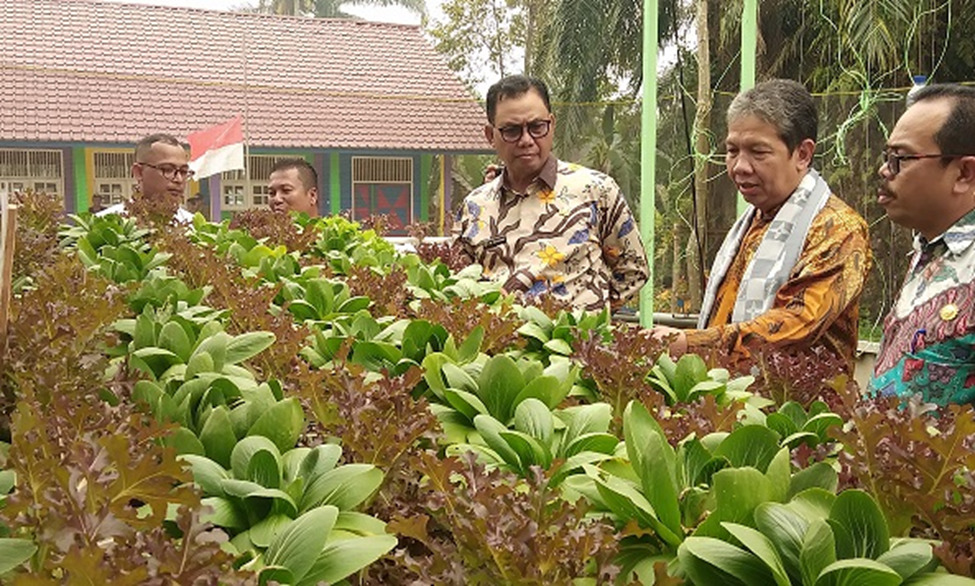 Pemerintah Galakkan Perdagangan dan Industri di Rokan Hilir