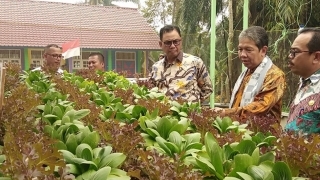 Pemerintah Galakkan Perdagangan dan Industri di Rokan Hilir